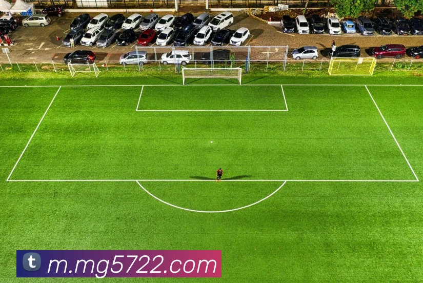 MG娱乐平台官网服务体系